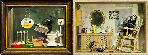 Dioramas anthropomorphiques de Daisy Tainton