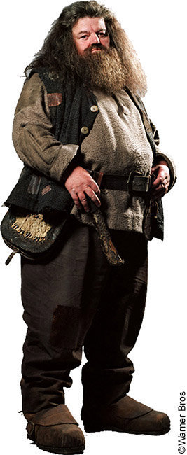 Silhouettes photo Harry Potter : le géant Hagrid vu de profil