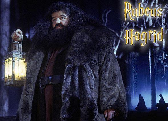 Silhouettes photo Harry Potter : le géant Rubeus Hagrid