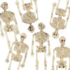 mini squelette halloween 15 cm