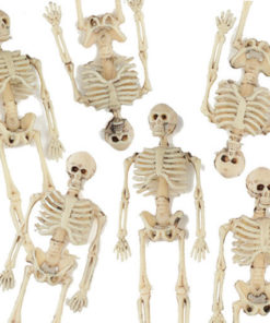 mini squelette halloween 15 cm