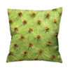 Coussin cactus 45x45cm qualité photo