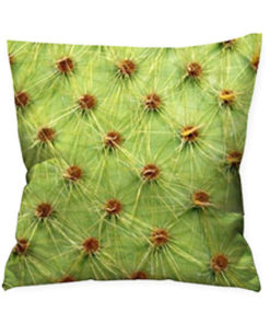 Coussin cactus 45x45cm qualité photo
