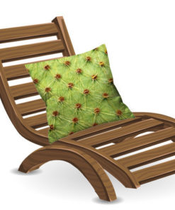 Coussin cactus en situation