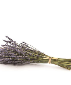 Coussin lavande Provence : bouquet de fleurs de lavande lié avec du raphia