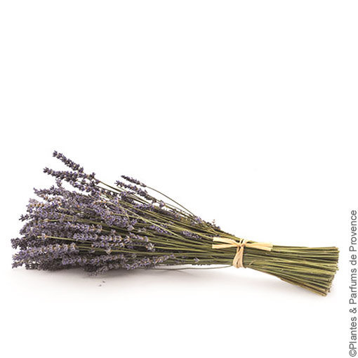 Coussin lavande Provence : bouquet de fleurs de lavande lié avec du raphia