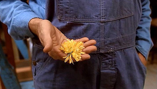 L’Évadé d’Alcatraz : Morris découvre une fleur de chrysanthème placée dans une des poches de sa salopette par Doc Dalton