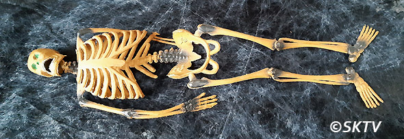 Challenge Halloween 2020 : squelette Oscar allongé sur le plan de travail