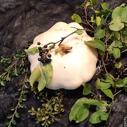 Un don de la nature : nature morte avec pâtisson blanc et feuillage