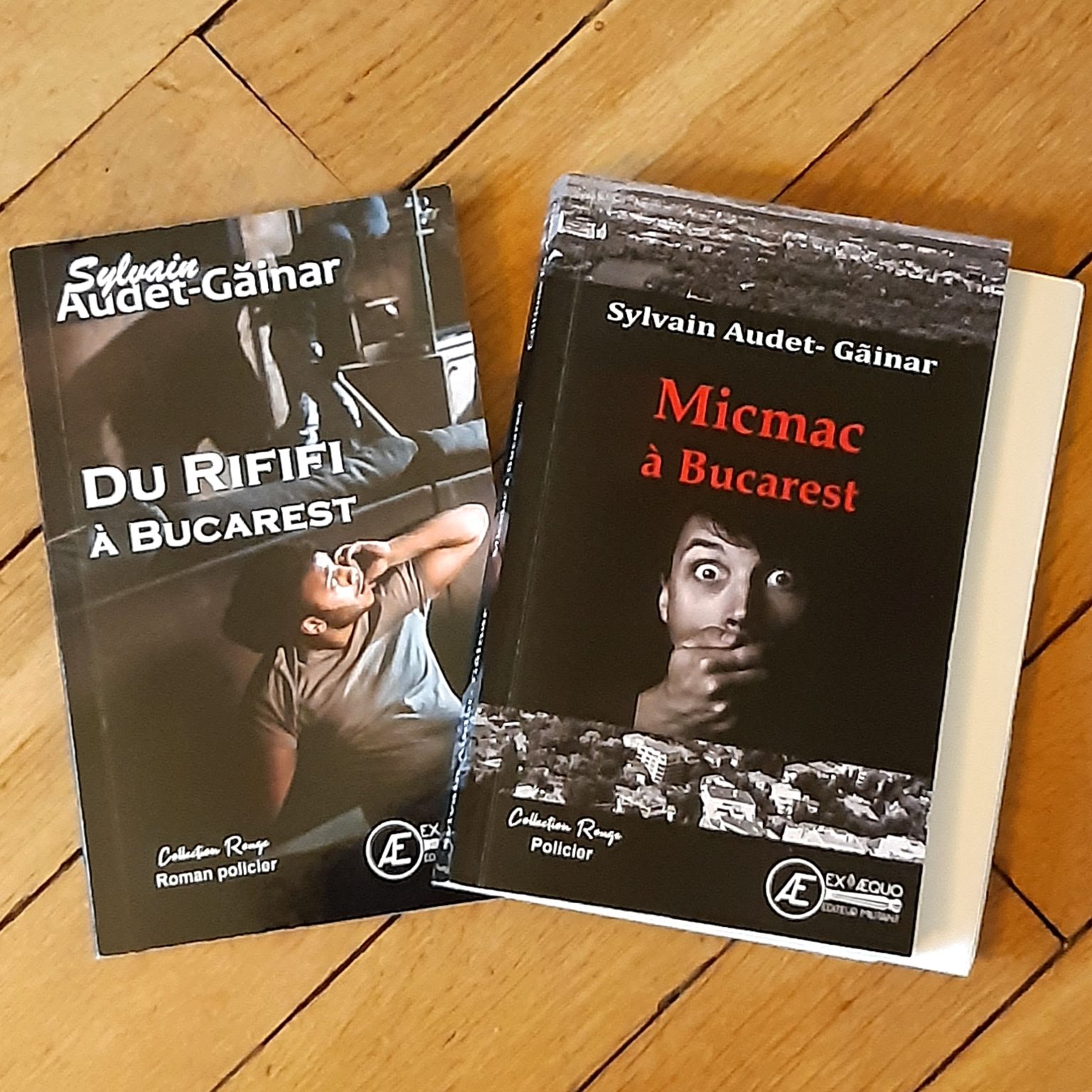Couverture des 2 premiers polars de Sylvain AUDET-GAINAR